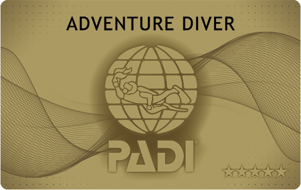 PADI アドベンチャーダイバー ライセンスカード
