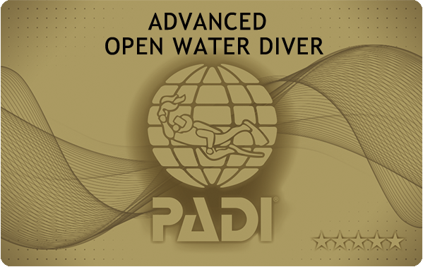 PADI アドバンスドOWダイバー ライセンスカード