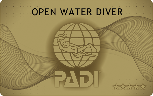 PADI オープンウォーターダイバー ライセンスカード