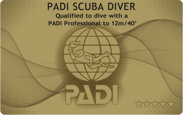 PADI スクーバダイバー ゴールドCカード